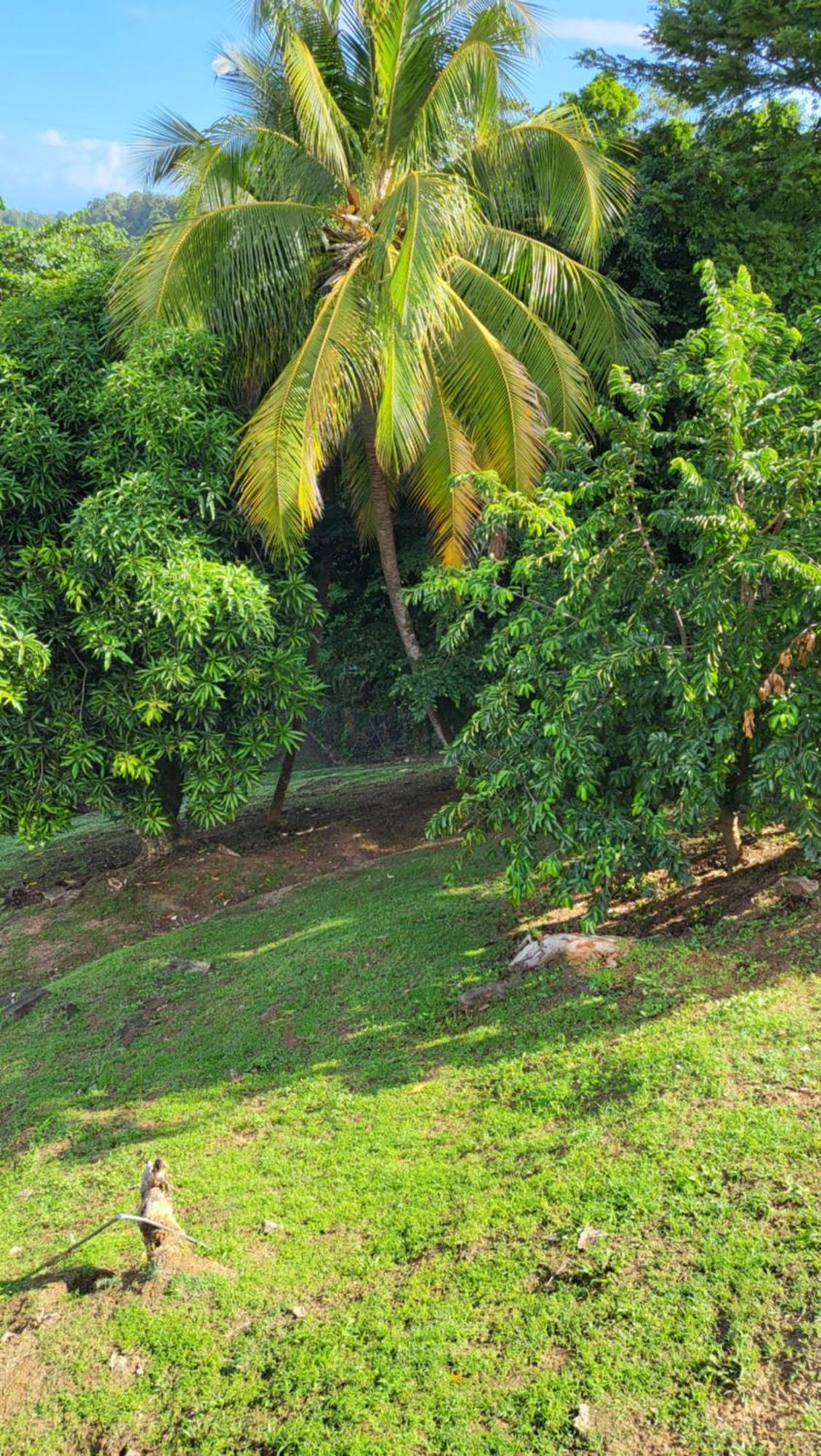 Le Caillou Villa La Trinité Exterior photo